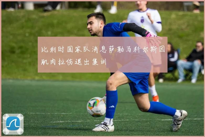比利时国家队消息萨勒马科尔斯因肌肉拉伤退出集训