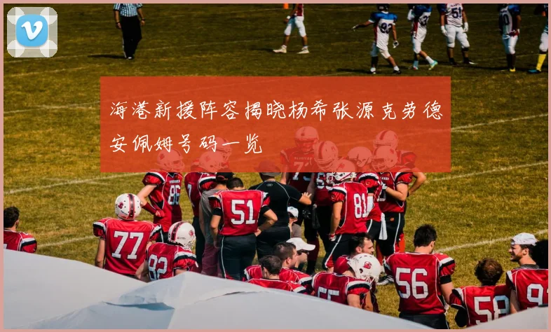 海港新援阵容揭晓杨希张源克劳德安佩姆号码一览