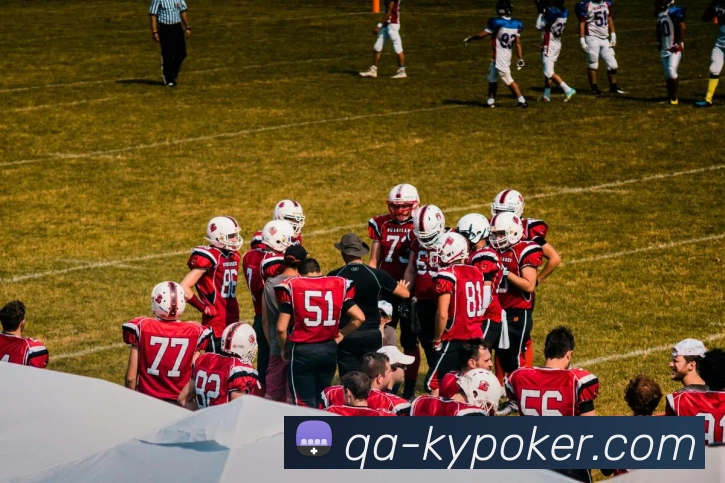 开云棋牌官网APP 封面图